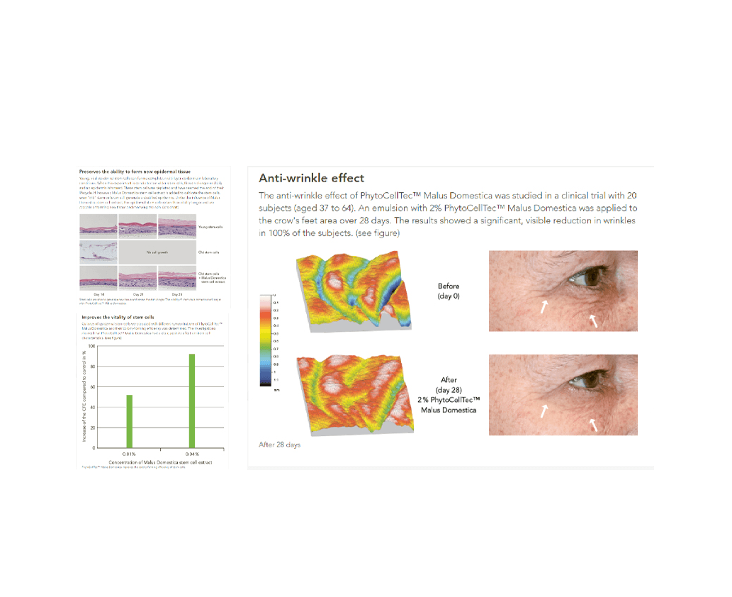 Clinical Test PhytoCellTec